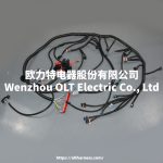 4L60E DBC LS1 97-06 full vehicle wiring harness 4L60E 80E DBC, LS1 independent wiring harness 4.8,5.3,6.0 cable drive - Image 2
