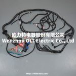 4L60E DBC LS1 97-06 full vehicle wiring harness 4L60E 80E DBC, LS1 independent wiring harness 4.8,5.3,6.0 cable drive - Image 3