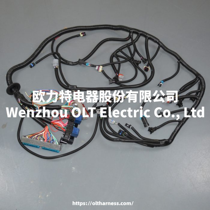 4L60E DBC LS1 97-06 full vehicle wiring harness 4L60E 80E DBC, LS1 independent wiring harness 4.8,5.3,6.0 cable drive - Image 3