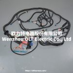 4L60E DBC LS1 97-06 full vehicle wiring harness 4L60E 80E DBC, LS1 independent wiring harness 4.8,5.3,6.0 cable drive - Image 4