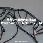 4L60E DBC LS1 97-06 full vehicle wiring harness 4L60E 80E DBC, LS1 independent wiring harness 4.8,5.3,6.0 cable drive - Image 5