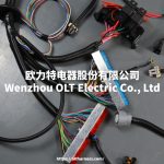 4L60E DBC LS1 97-06 full vehicle wiring harness 4L60E 80E DBC, LS1 independent wiring harness 4.8,5.3,6.0 cable drive - Image 6
