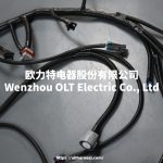 4L60E DBC LS1 97-06 full vehicle wiring harness 4L60E 80E DBC, LS1 independent wiring harness 4.8,5.3,6.0 cable drive - Image 7