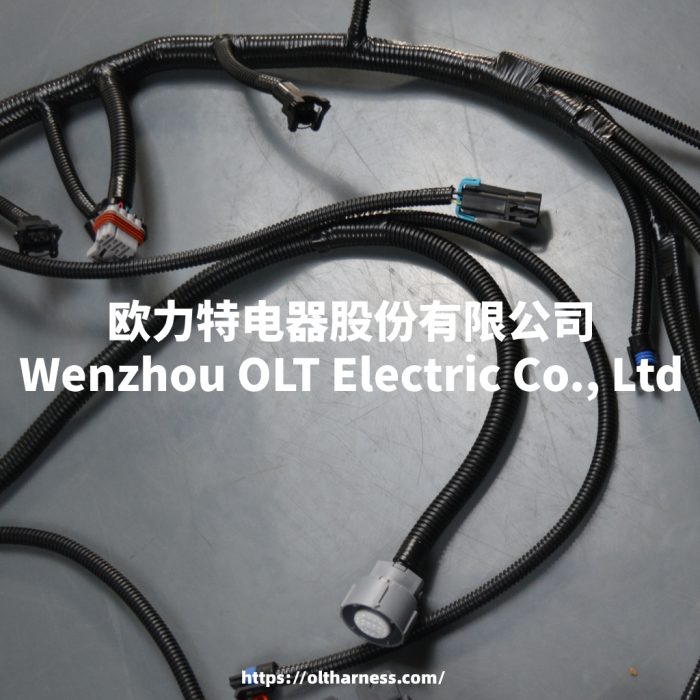 4L60E DBC LS1 97-06 full vehicle wiring harness 4L60E 80E DBC, LS1 independent wiring harness 4.8,5.3,6.0 cable drive - Image 7