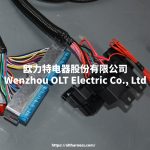 4L60E DBC LS1 97-06 full vehicle wiring harness 4L60E 80E DBC, LS1 independent wiring harness 4.8,5.3,6.0 cable drive - Image 8