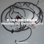 4L60E DBC LS1 97-06 full vehicle wiring harness 4L60E 80E DBC, LS1 independent wiring harness 4.8,5.3,6.0 cable drive - Image 9