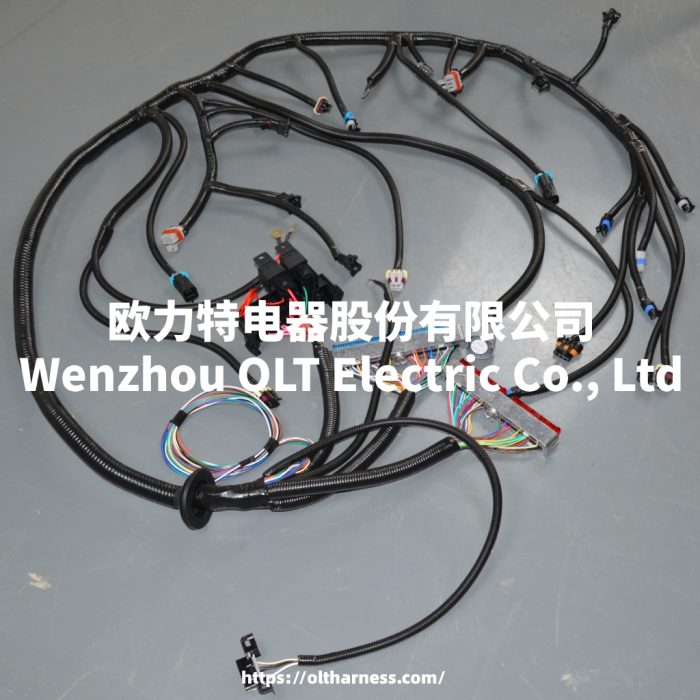 4L60E DBC LS1 97-06 full vehicle wiring harness 4L60E 80E DBC, LS1 independent wiring harness 4.8,5.3,6.0 cable drive - Image 9