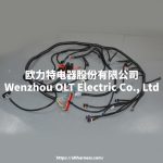 4L60E DBC LS1 97-06 full vehicle wiring harness 4L60E 80E DBC, LS1 independent wiring harness 4.8,5.3,6.0 cable drive - Image 10