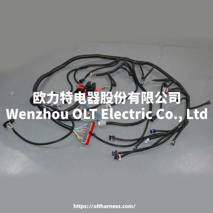 4L60E DBC LS1 97-06 full vehicle wiring harness 4L60E 80E DBC, LS1 independent wiring harness 4.8,5.3,6.0 cable drive - Image 10