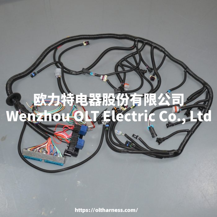 1201主图 4L60E DBC LS1 97-06 full vehicle wiring harness 4L60E 80E DBC, LS1 independent wiring harness 4.8,5.3,6.0 cable drive - Image 1