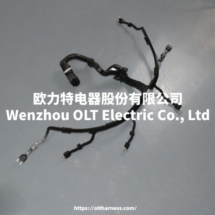 51254136417/51254136055/51254136070/51254136256/51254136090 Man truck engine fuel injector wiring harness ignition coil - Image 3