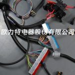 DBC for LS1 97-06 full vehicle wiring harness 4L60E 80E, LS1 independent wiring harness 4.8, 5.3, 6.0 cable drive - Image 3