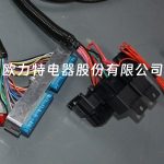 DBC for LS1 97-06 full vehicle wiring harness 4L60E 80E, LS1 independent wiring harness 4.8, 5.3, 6.0 cable drive - Image 4
