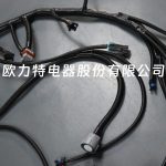 DBC for LS1 97-06 full vehicle wiring harness 4L60E 80E, LS1 independent wiring harness 4.8, 5.3, 6.0 cable drive - Image 5