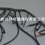 DBC for LS1 97-06 full vehicle wiring harness 4L60E 80E, LS1 independent wiring harness 4.8, 5.3, 6.0 cable drive - Image 6