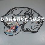 DBC for LS1 97-06 full vehicle wiring harness 4L60E 80E, LS1 independent wiring harness 4.8, 5.3, 6.0 cable drive