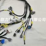 Honda Civic Integra B16 B18 D16 OBD2 Budget D & B Series Engine Wiring Harness OBD2 - Image 4