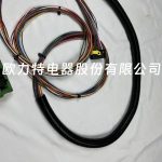 20586978 Truck wiring harness cables, engine wiring harness cables, electric wiring harness cables - Image 4