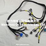 Honda Civic OBD2 Integra B16 B18 D16 OBD2 Budget D & B Series Engine Wiring Harness - Image 5