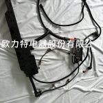 Volvo truck fuel injector VOE 20495743, Volvo heavy truck parts - Image 3