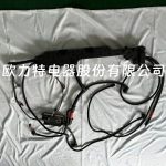 Volvo truck fuel injector VOE 20495743, Volvo heavy truck parts - Image 5