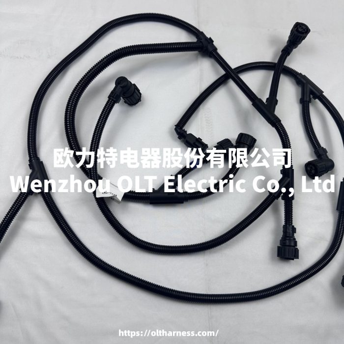 20927449 Original Spare Parts Engine Wire Harness for Volvo Truck FH13 FM11 - Image 4