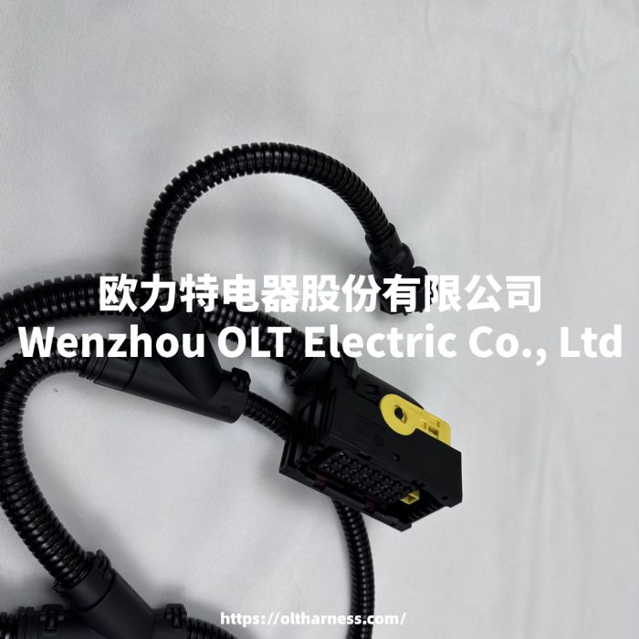21706081 OURI Truck Cable Harness Suitable for Volvo Truck FM4 - Image 5