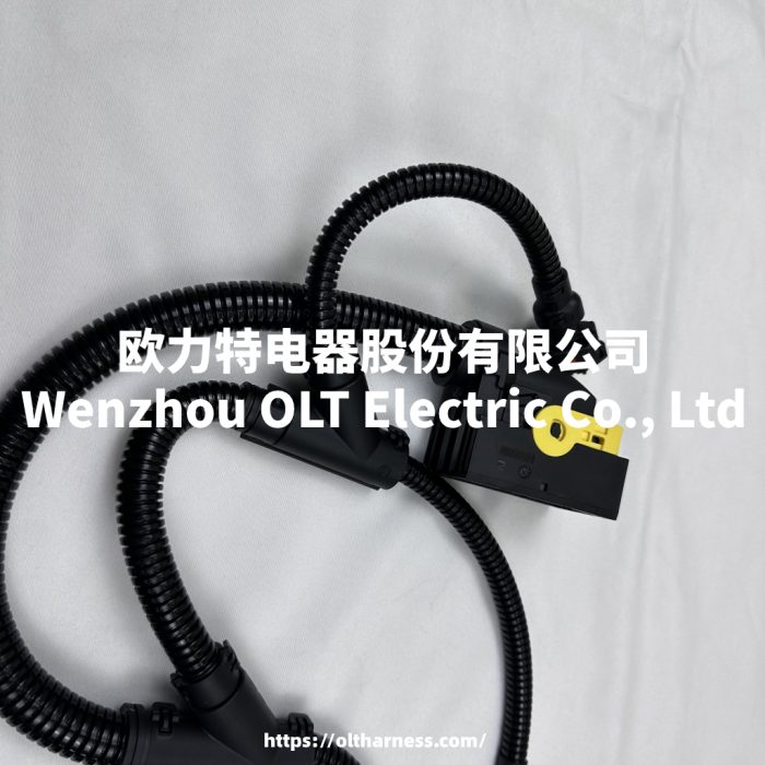 21706081 OURI Truck Cable Harness Suitable for Volvo Truck FM4 - Image 3