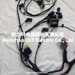 21915167/21915172/21915182/21915185/22154358/22262399 Volvo FH4 truck headlight electrical wiring harness 2013-2023 - Image 3