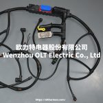 22018636/2091150/20160810/21145813/22041549/21372461/21372691 FMFH D13 engine cable harness - Image 3