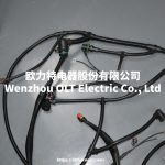 22018636/2091150/20160810/21145813/22041549/21372461/21372691 FMFH D13 engine cable harness - Image 2