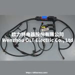 22018636/2091150/20160810/21145813/22041549/21372461/21372691 FMFH D13 engine cable harness