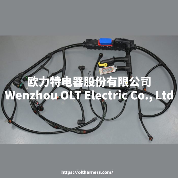 22018636 20911650主图 (1) 22018636/2091150/20160810/21145813/22041549/21372461/21372691 FMFH D13 engine cable harness - Image 1