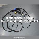 22041549/21060815/21145814/21372691 Engine wiring harness FMFMXNH FM13 truck engine wiring harness connection cable - Image 4