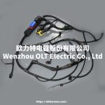 22041549/21060815/21145814/21372691 Engine wiring harness FMFMXNH FM13 truck engine wiring harness connection cable - Image 7