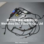 22041549/21060815/21145814/21372691 Engine wiring harness FMFMXNH FM13 truck engine wiring harness connection cable - Image 7