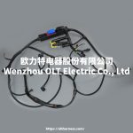 22041549/21060815/21145814/21372691 Engine wiring harness FMFMXNH FM13 truck engine wiring harness connection cable