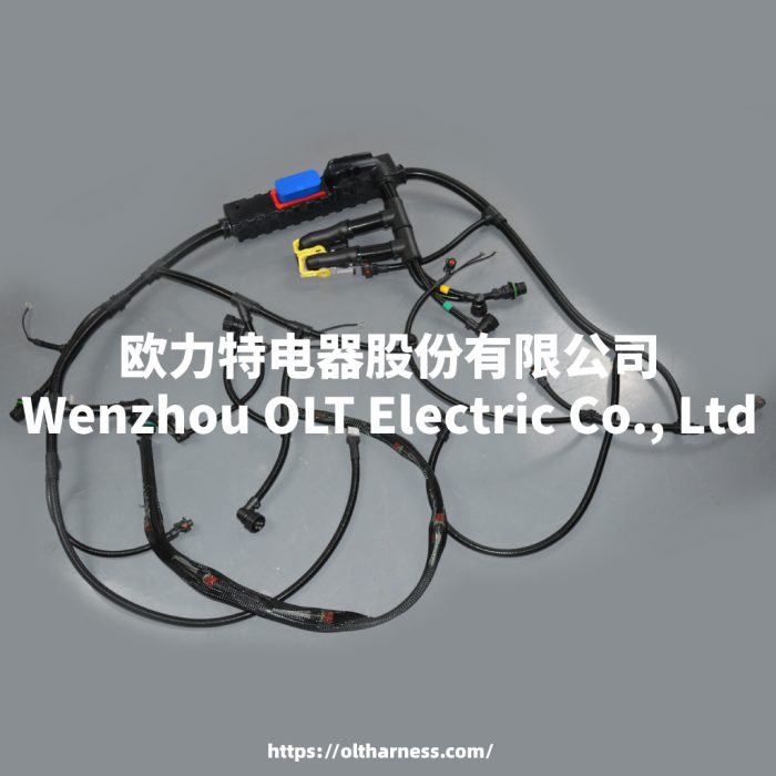 22041549 21060815主图 22041549/21060815/21145814/21372691 Engine wiring harness FMFMXNH FM13 truck engine wiring harness connection cable - Image 1