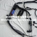 22279234/21540396/21901481/21399609/21776625/22120579/21310116/22120536 VOLVO Truck Engine Electric Wiring Harness Cable - Image 3