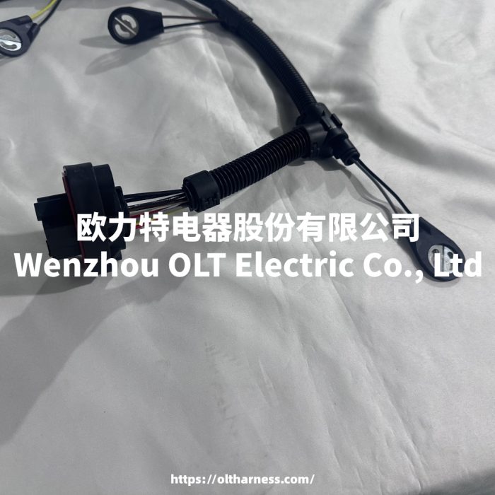 CH10974 Applicable to Perkins 2506 2806 2306 injector wiring harness 2328E16 - Image 3