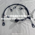 CH10974 Applicable to Perkins 2506 2806 2306 injector wiring harness 2328E16