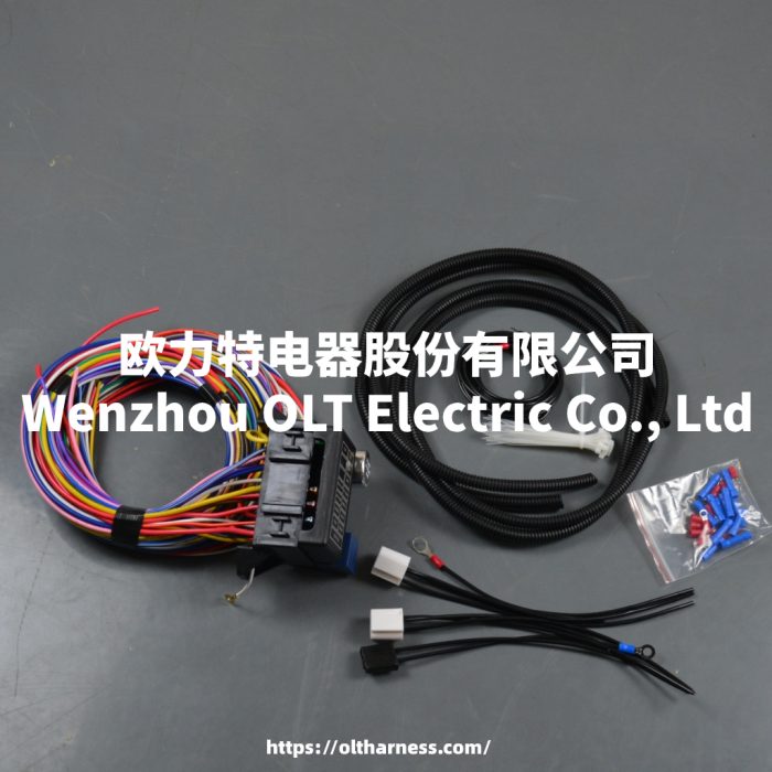 Old 12th Circuit Fuse Box - Image 4