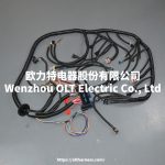 T56 DBC LS1 97-06 Full vehicle wiring harness T56 DBC universal T56 manual transmission circuit wiring harness - Image 3