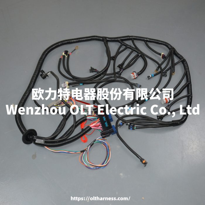 T56 DBC LS1 97-06 Full vehicle wiring harness T56 DBC universal T56 manual transmission circuit wiring harness - Image 3