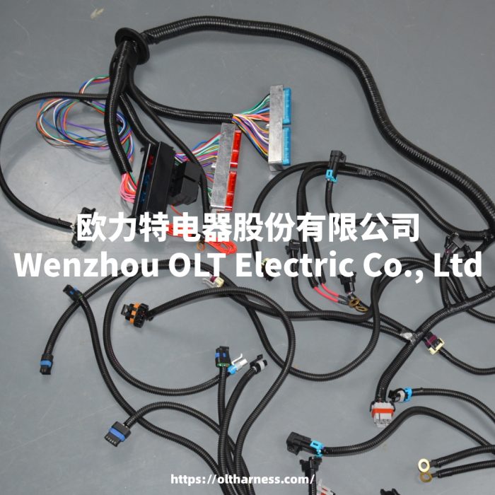 T56 DBC LS1 97-06 Full vehicle wiring harness T56 DBC universal T56 manual transmission circuit wiring harness - Image 4