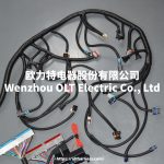 T56 DBC LS1 97-06 Full vehicle wiring harness T56 DBC universal T56 manual transmission circuit wiring harness - Image 5