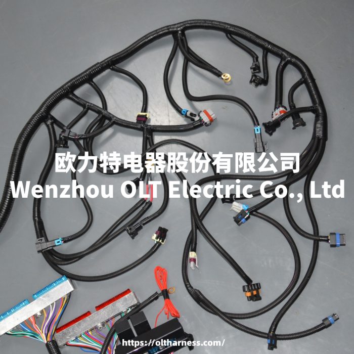 T56 DBC LS1 97-06 Full vehicle wiring harness T56 DBC universal T56 manual transmission circuit wiring harness - Image 5
