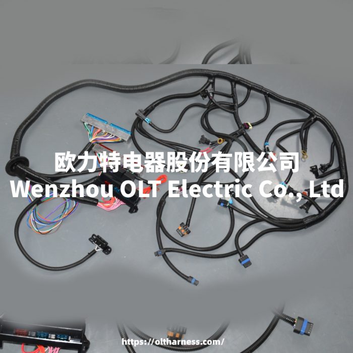 T56 DBC LS1 97-06 Full vehicle wiring harness T56 DBC universal T56 manual transmission circuit wiring harness - Image 6