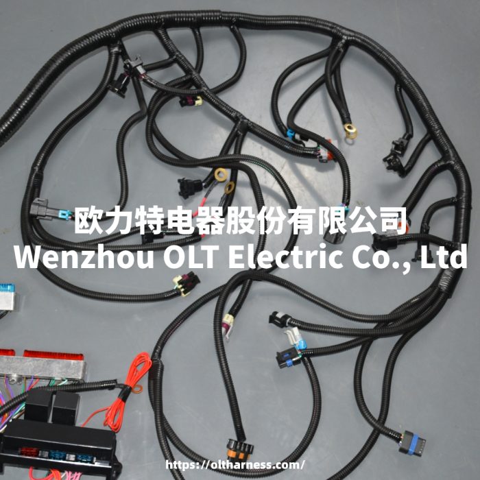 T56 DBC LS1 97-06 Full vehicle wiring harness T56 DBC universal T56 manual transmission circuit wiring harness - Image 7