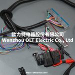 T56 DBC LS1 97-06 Full vehicle wiring harness T56 DBC universal T56 manual transmission circuit wiring harness - Image 9